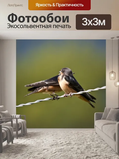 Фотообои Ласточки