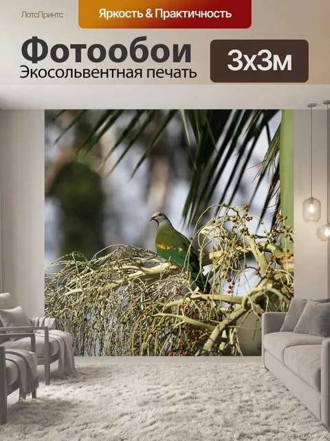 Фотообои Птица