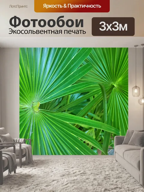 Фотообои Пальмовые листья