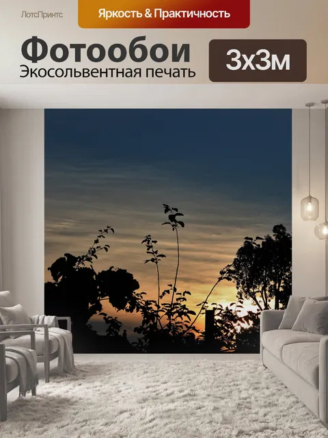 Фотообои закат и деревья
