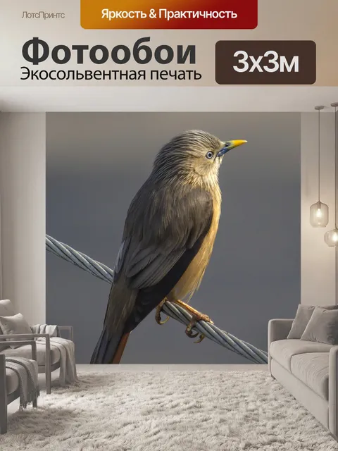 Фотообои Птица