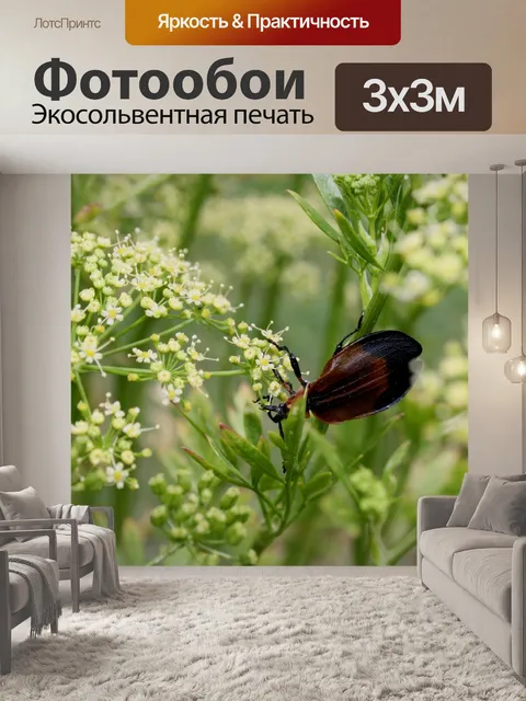 Фотообои коричневый ошибку на заводе