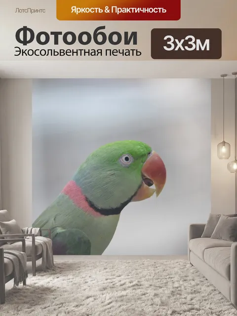 Фотообои Птица