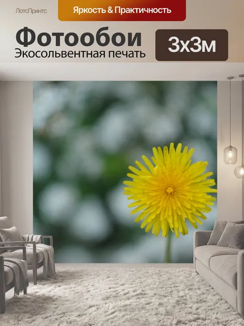 Фотообои Одуванчик