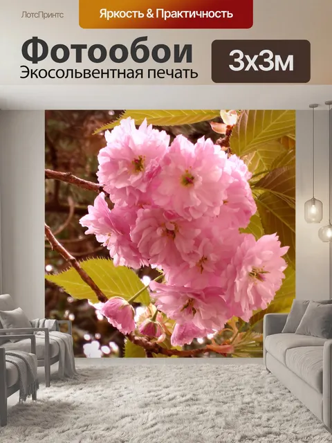 Фотообои вишня в цвету