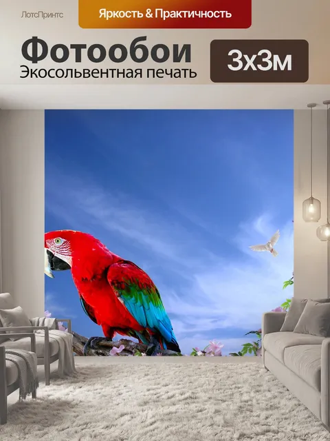 Фотообои Попугай