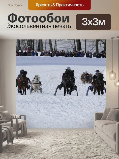 Фотообои Лошадь