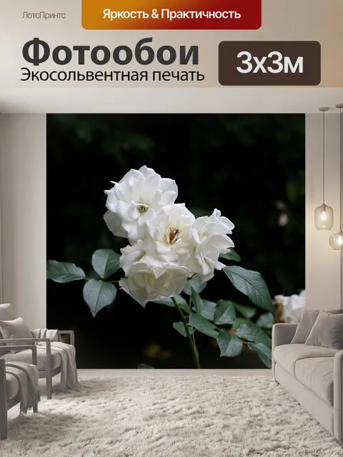 Фотообои Белая роза