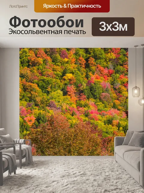 Фотообои Новая Англия листва