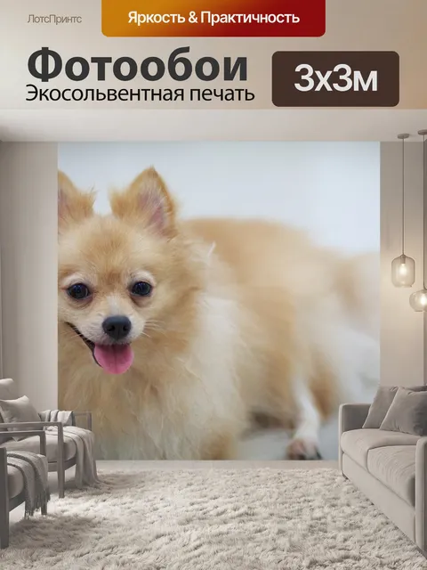Фотообои Немецкий