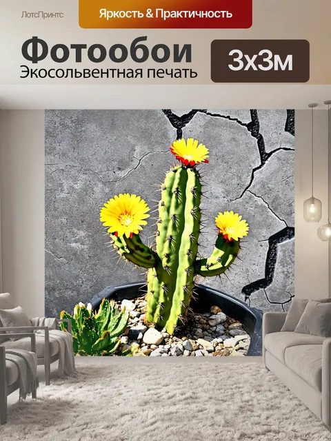 Фотообои кактус с яркими цветами на фоне старого