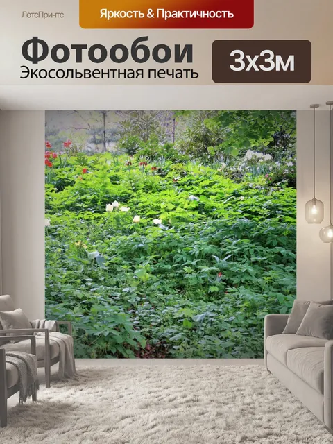 Фотообои подлесок в Москве