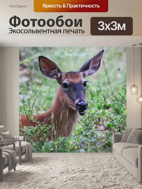 Фотообои олень