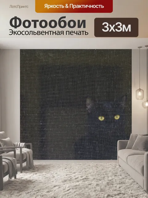 Фотообои Кошка