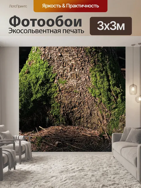 Фотообои Дерево