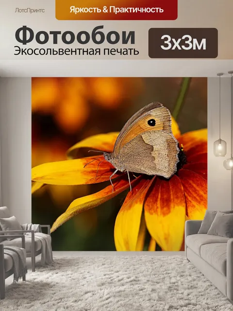 Фотообои Бабочка