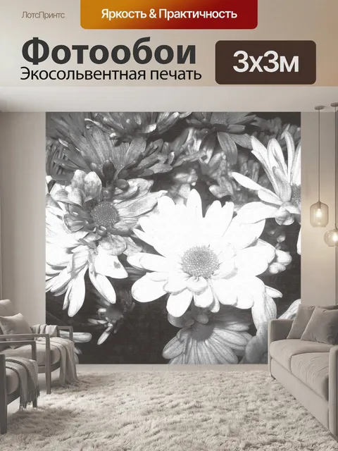 Фотообои Цветы Черное &amp; White Rose Daisy 2