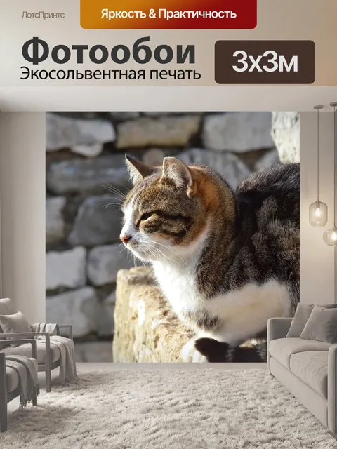 Фотообои Кошка
