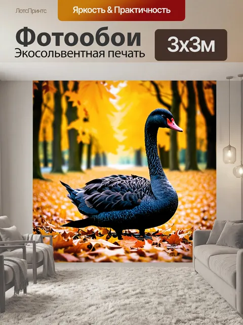 Фотообои изображение черного лебедя