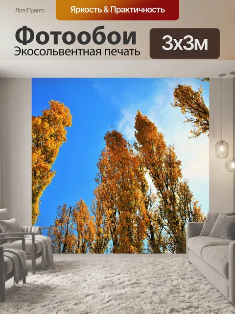 Фотообои золотые тополя