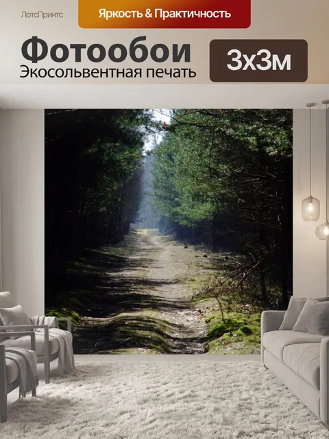 Фотообои лес