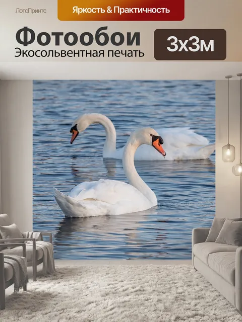 Фотообои Лебеди