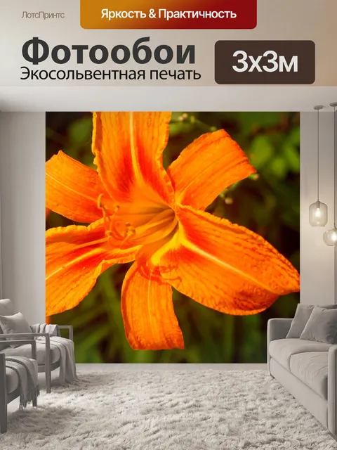 Фотообои тигровая лилия