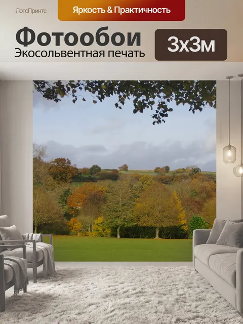 Фотообои Осенние деревья