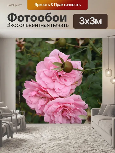 Фотообои Розы