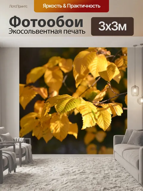 Фотообои Листья