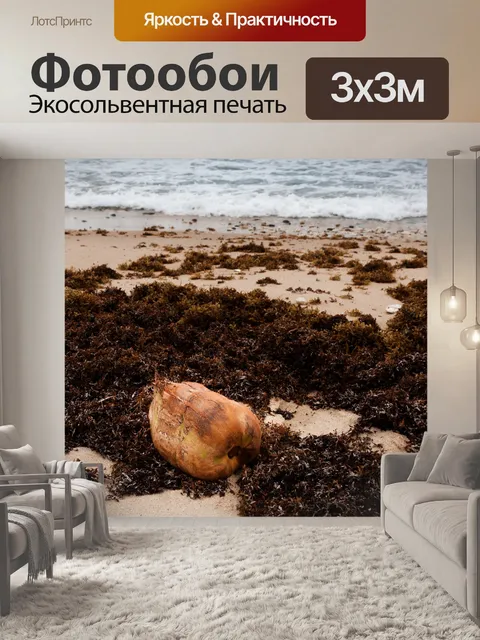 Фотообои кокосовое и водорослей на побережье