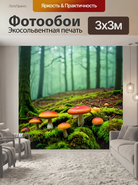 Фотообои утренний лес с туманом и яркими грибами, растущими среди мха