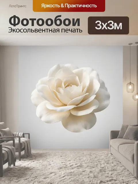 Фотообои Нежный белый цветок крупным планом