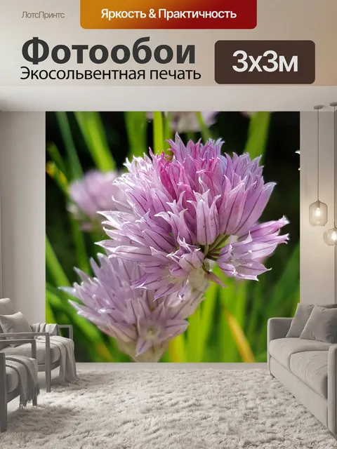 Фотообои Цветок
