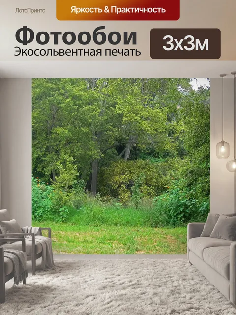 Фотообои Сцена с деревьями и растительностью