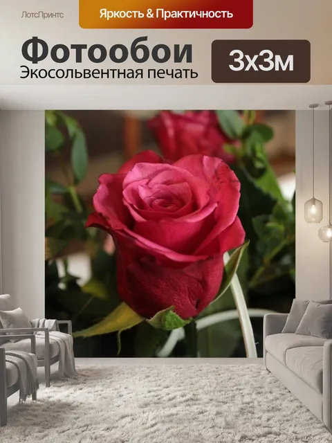 Фотообои Розы