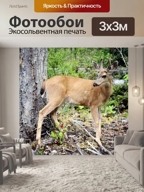 Фотообои Олень