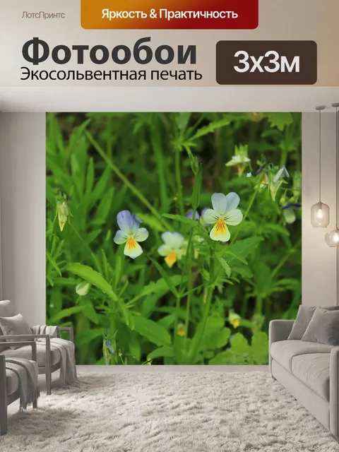 Фотообои Цветы