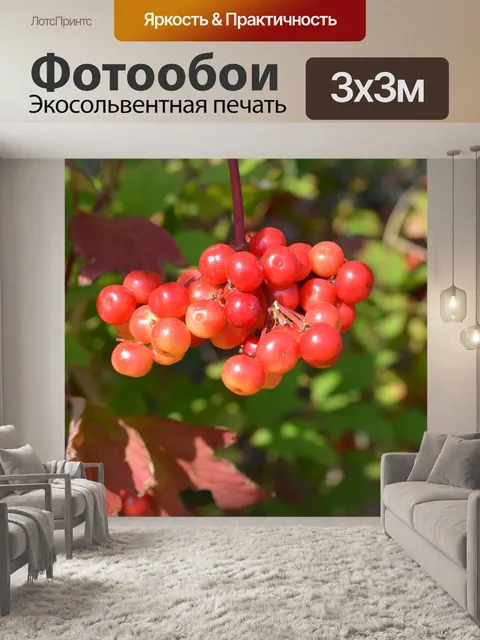 Фотообои Ягоды