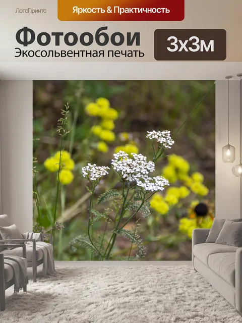 Фотообои Полевые цветы