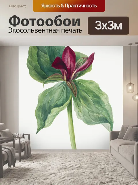 Фотообои Винтажное цветочное искусство акварель