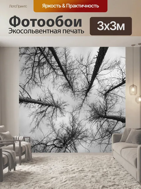 Фотообои Деревья без листьев