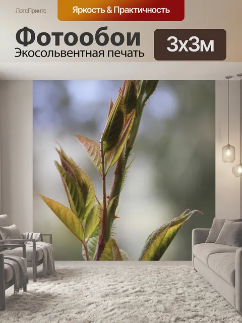 Фотообои Листья