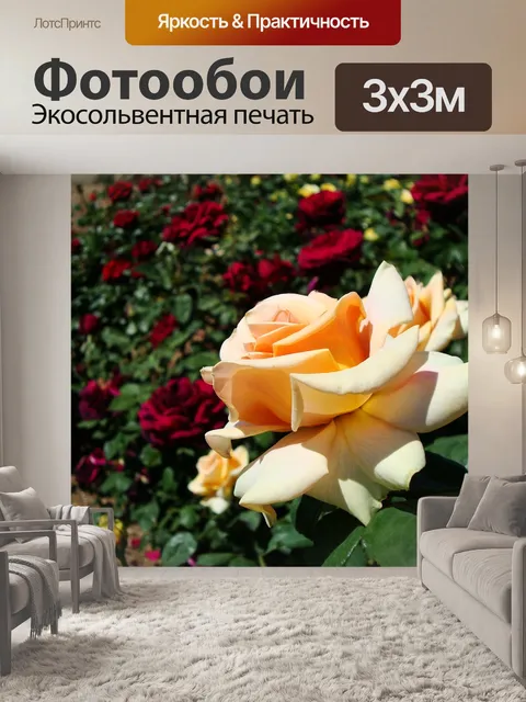 Фотообои Розы