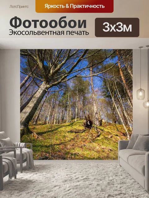 Фотообои Лес