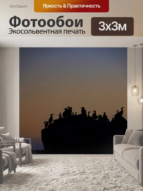 Фотообои Силуэты морских птиц