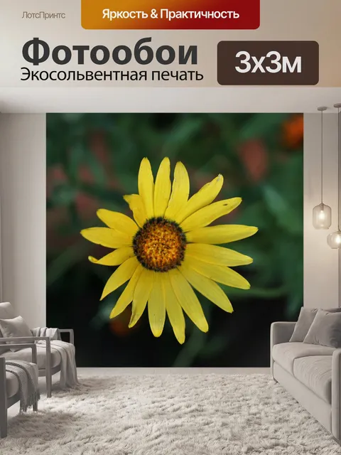 Фотообои желтый namakwaland ромашка