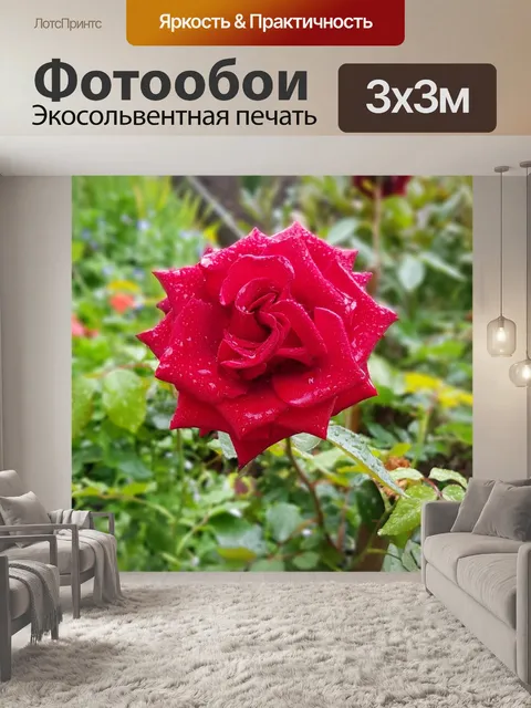 Фотообои Цветы