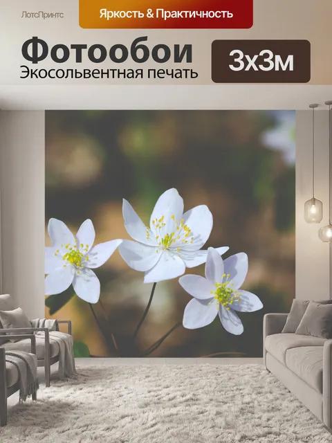 Фотообои Цветы