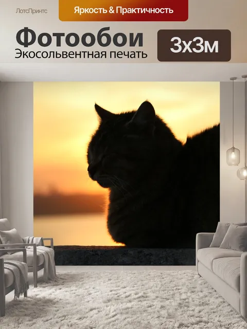 Фотообои Кошка